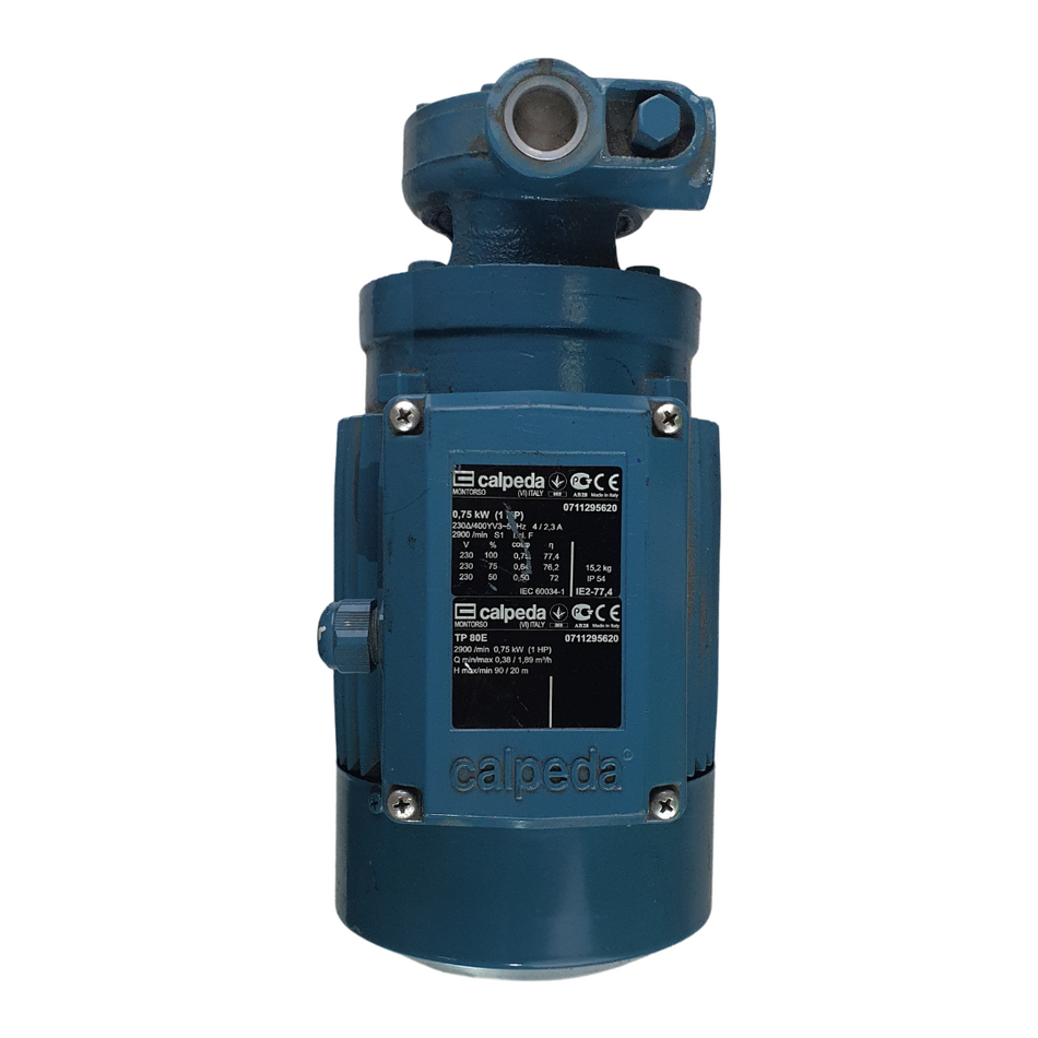 Calpeda TP 80E Pumpe mit peripherem Laufrad